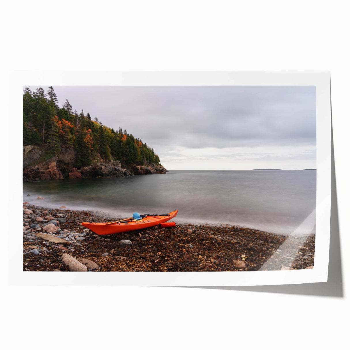 Acadia National Park scenery on a rolled print, featuring lush greenery and ocean views, ideal for art wall dining room.