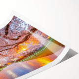 Extra large rolled print of line art flowers in muted colors, ideal for large living room wall art.