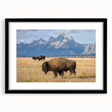 Colorful art depicting the Grand Tetons in vibrant hues on a textured, extra large canvas, ideal for living room decor.
