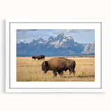 Abstract art print of Wyoming's Grand Tetons in muted earth tones on a framed white mat.