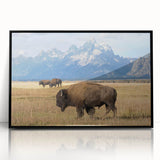 Large abstract wall art depicting the Grand Tetons, in muted earth tones, framed acrylic, ideal for modern living room decor.