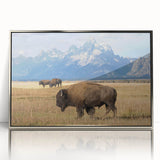 Mid-century modernist art depicting the Grand Tetons in muted earth tones on a silver-framed acrylic print.