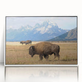 Acrylic print of the Grand Tetons in muted earth tones, framed in white, ideal for modern nursery decor.