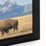 Framed canvas featuring a close-up of the Grand Tetons in black with textured colorful accents.