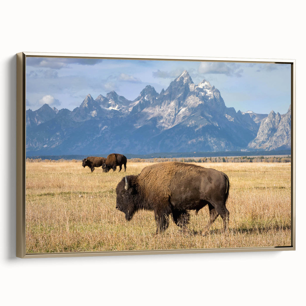 Framed canvas featuring a vintage-style landscape painting of the Grand Tetons, with muted earth tones.