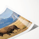 Extra large rolled print of the Grand Tetons with line art flowers in muted colors, ideal for large living room wall art.