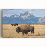 Black and white stretched canvas featuring the Grand Tetons under a cloudy sky, ideal for kitchen wall art.