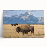 Black and white stretched canvas of the Grand Tetons, ideal for kitchen wall art or bedroom ambiance.