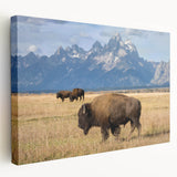 Grand Tetons landscape on large stretched canvas, featuring muted green and blue tones, ideal for kitchen wall art.