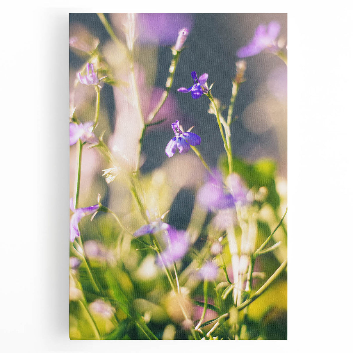 Black and white abstract design on stretched canvas, ideal for kitchen wall art.
