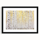 Abstract floral design framed in a sleek black mat, showcasing vibrant colors and intricate patterns. Ideal for modern home decor, enhancing any space with elegance.