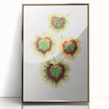 Classic Romantic Paintings: Pelargonium Zonale Art Print