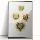 Classic Romantic Paintings: Pelargonium Zonale Art Print