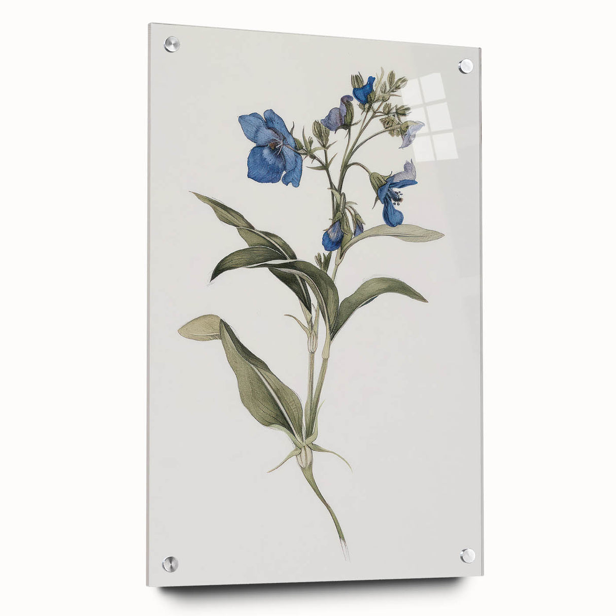 Abstract floral design on acrylic glass, showcasing vibrant colors and intricate patterns, displayed from a side view with decorative pins. Perfect for modern home decor.