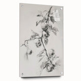 Abstract floral acrylic wall art showcasing vibrant colors and dynamic shapes, elegantly displayed with pins for a contemporary look. Perfect for modern home decor.