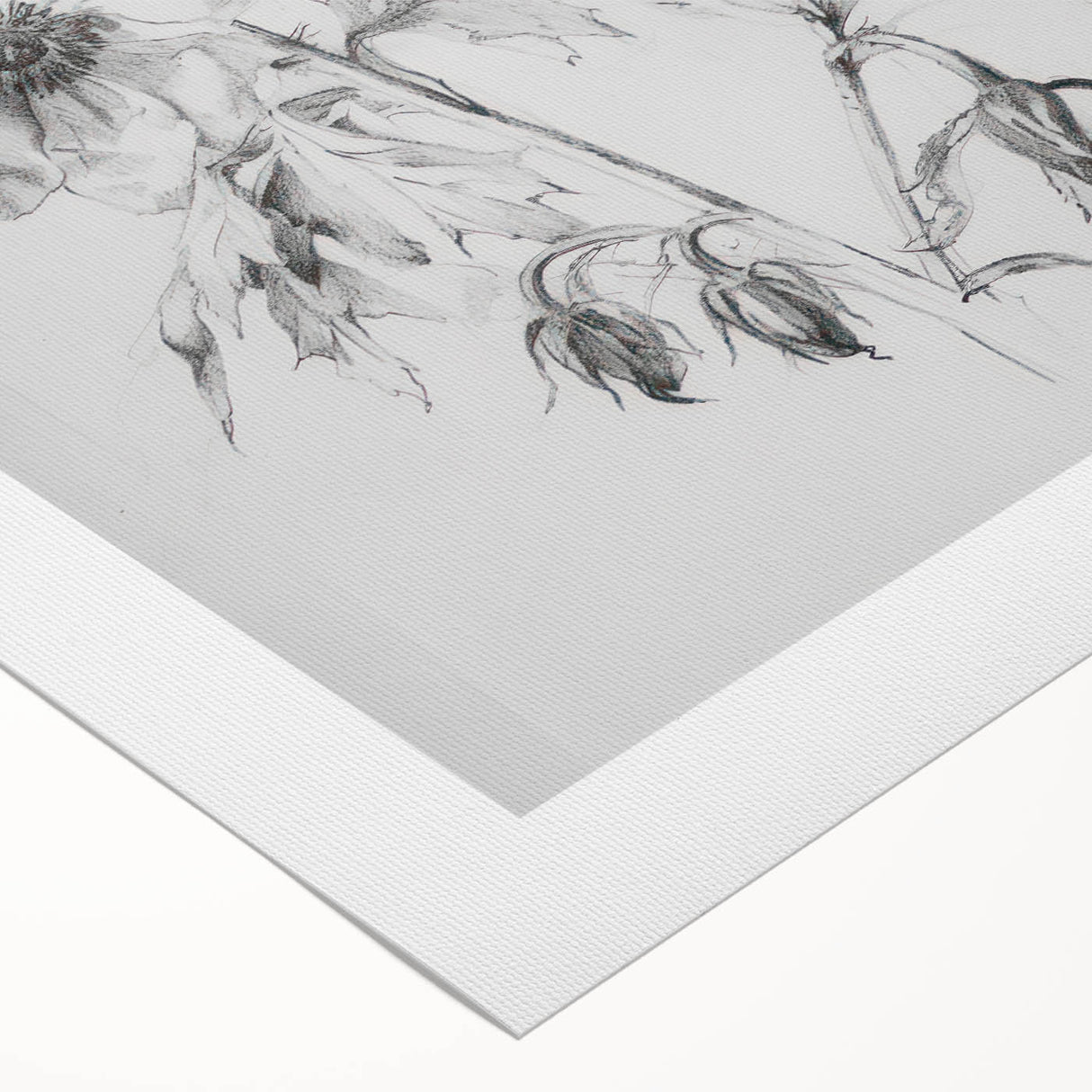 Abstract floral design on rolled canvas showcasing vibrant colors and intricate patterns, elegantly packaged in a protective cardboard tube for delivery.