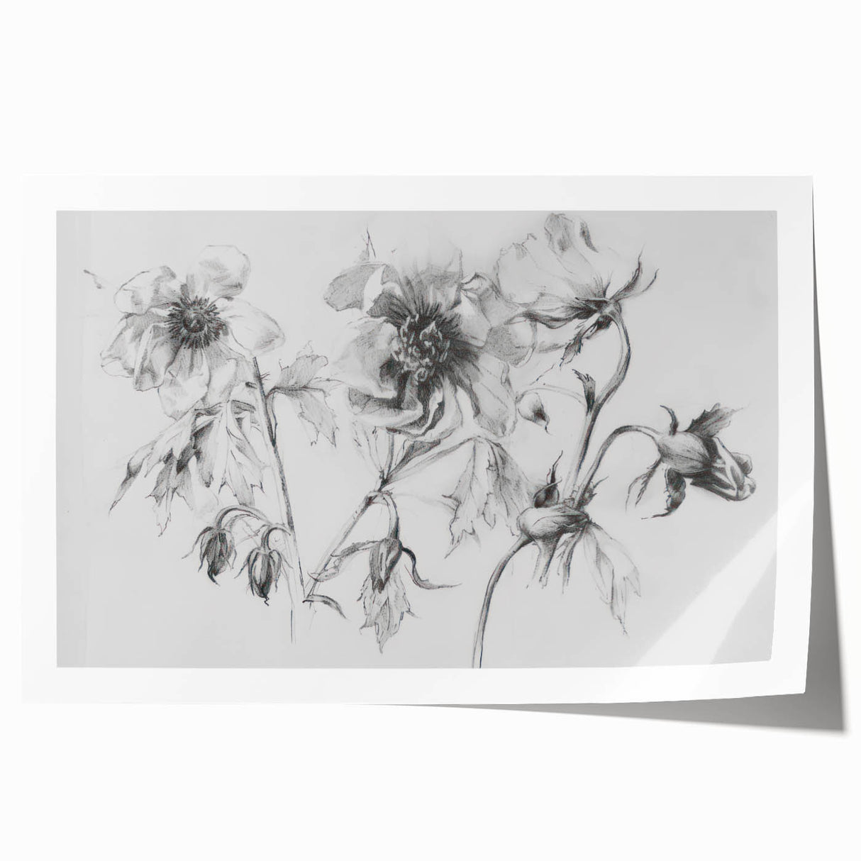 Abstract floral design rolled canvas print showcasing vibrant colors like teal, pink, and gold, elegantly packaged in a protective cardboard tube for shipping.