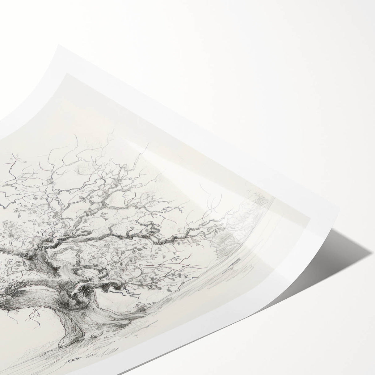 Vibrant abstract floral design rolled print showcasing intricate patterns in soft pastels and bold colors, elegantly packaged in a protective cardboard tube.