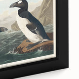 Romanticism Art: "Great Auk" by John James Audubon