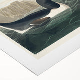 Romanticism Art: "Great Auk" by John James Audubon