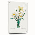 Neoclassical Art Print: Double Daffodil by Redouté - Botanical Wall Decor