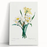 Neoclassical Art Print: Double Daffodil by Redouté - Botanical Wall Decor