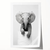 Playful Elephant Bathroom Wall Art - Minimalist Black and White Decor