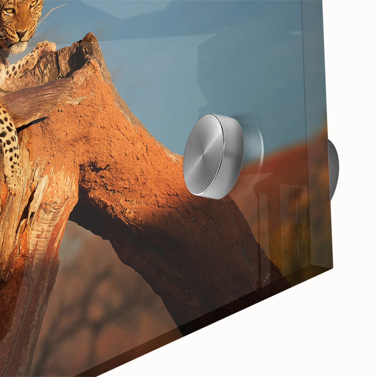 Large abstract depiction of a Namibian landscape on acrylic glass, in earth tones.
