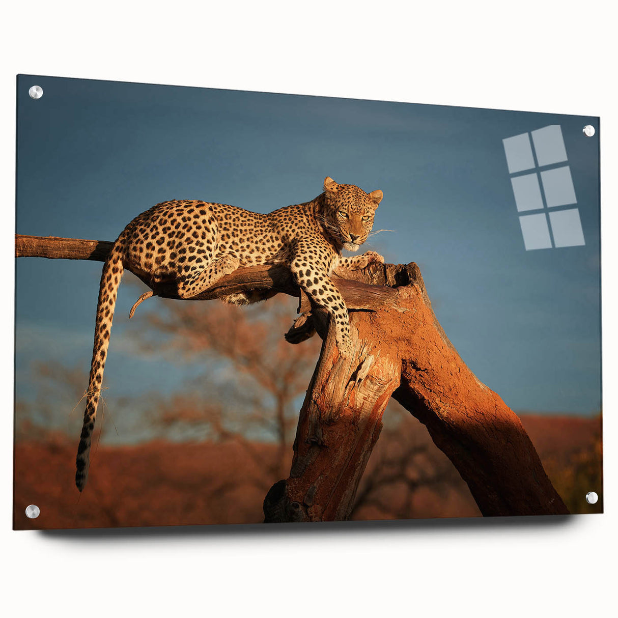 Acrylic print of a Namibian landscape in earthy tones, ideal for bedroom or dining room decor.