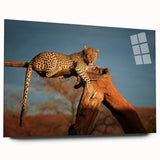 Large abstract wall art depicting the Namibian landscape on acrylic glass, in earthy tones.