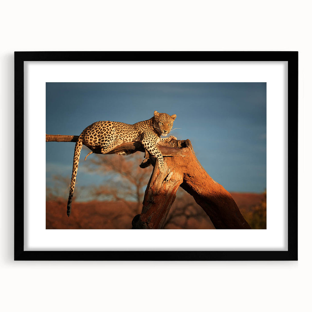 Extra large colorful abstract art print of a textured Namibian landscape, framed in black, ideal for living room decor.