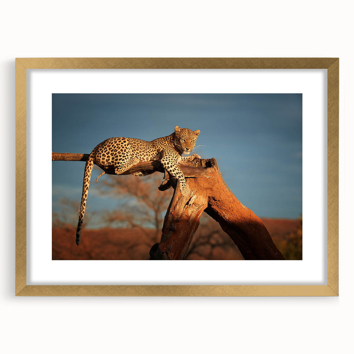 Textured abstract art print of Namibian scenery in muted earth tones, framed in gold, ideal for bedroom art.