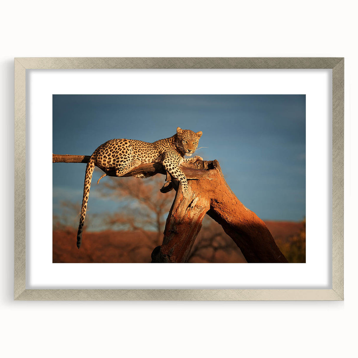 Abstract art print depicting a serene Namibian landscape in earth tones, framed in silver, suitable for dining room decor.
