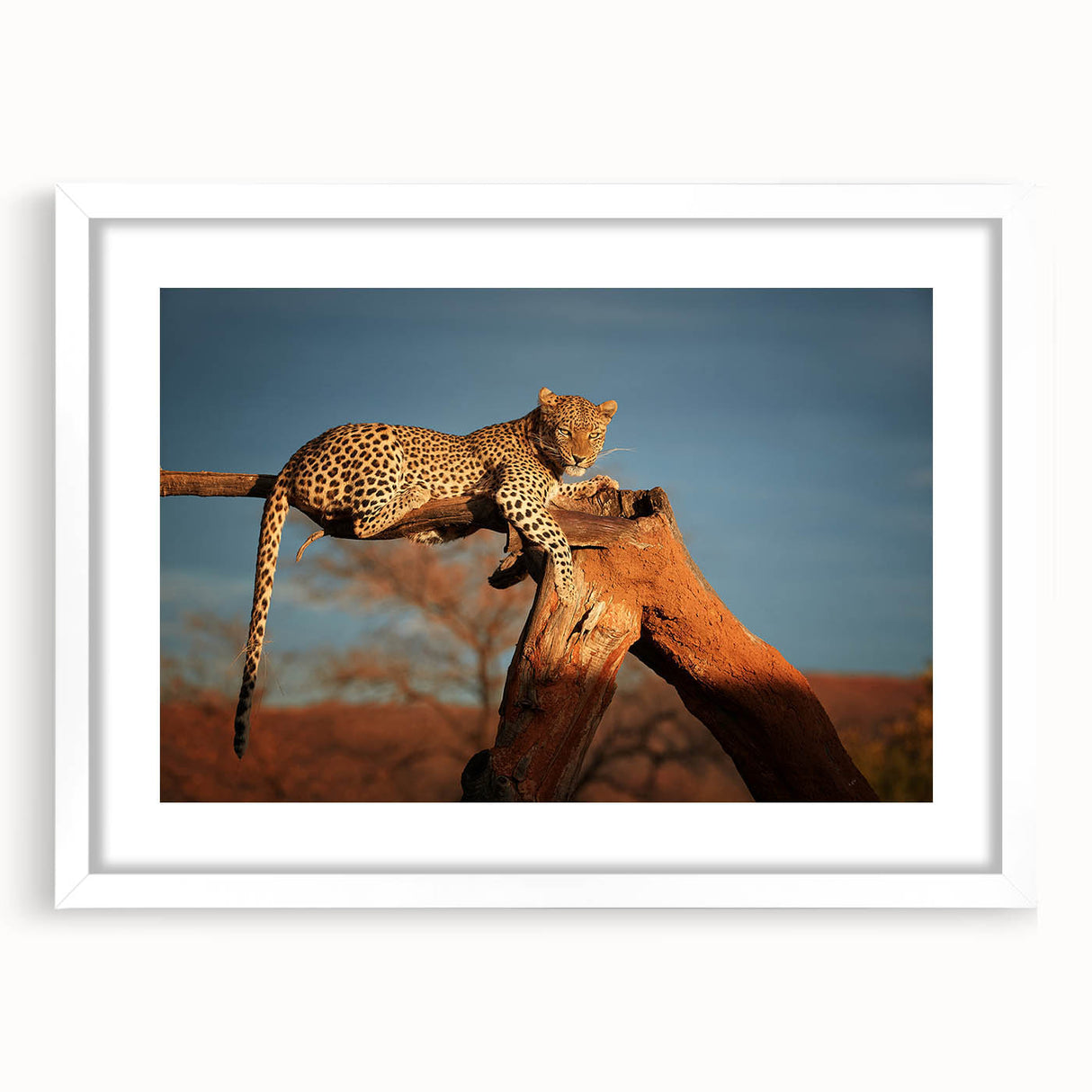 Extra large abstract art print of a Namibian landscape in muted earth tones on a textured canvas.