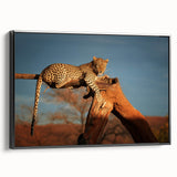 Black and white framed canvas depicting a Namibian landscape, suitable as wall art for a bedroom.