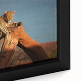 Extra large framed canvas featuring a textured depiction of a Namibian landscape in black with colorful accents.