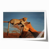Extra large rolled print depicting a serene Namibian landscape with muted earth tones, ideal for dining room wall art.