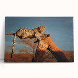 Black and white stretched canvas of Namibian landscape, ideal for kitchen wall art or bedroom ambiance.