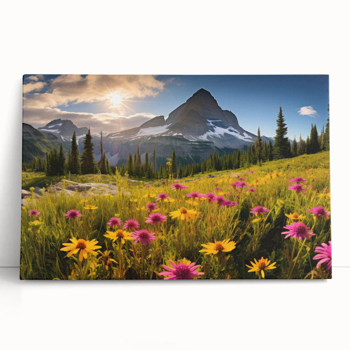 Black and white photo of Alberta scenery on stretched canvas, ideal for kitchen wall art or bedroom decor.