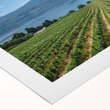 Art deco poster of British Columbia scenery in muted green and blue tones on rolled canvas.