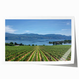 Rolled print of British Columbia scenery with lush greenery and mountains, ideal for art wall dining room.