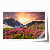 Extra large rolled print depicting a serene Yukon landscape with vibrant green and blue tones.