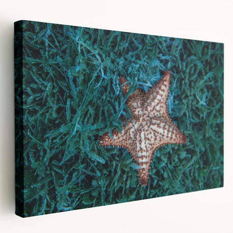 Large canvas print of Caribbean Martinique scenery with vivid blue and green hues, suitable for kitchen wall art.
