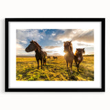 Extra large abstract art print of a colorful Icelandic landscape on textured canvas, framed in black.