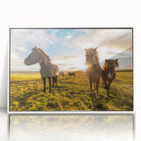 Mid-century modernist art depicting a serene Iceland landscape in muted blue and green tones on a framed acrylic print.