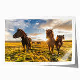 Extra large rolled print of Icelandic scenery featuring muted green and blue tones, ideal for art wall dining room.