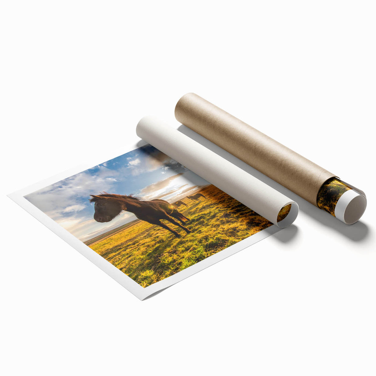 Extra large rolled print depicting vibrant floral scenery in Iceland.