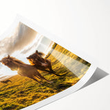 Extra large wall art featuring line art flowers in soft pastel shades on a rolled canvas.