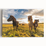 Black and white photograph of Icelandic scenery on stretched canvas, ideal for kitchen wall art or bedroom ambiance.