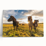 Black and white photograph of a serene Icelandic landscape on a large stretched canvas, ideal for kitchen wall art.
